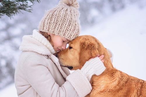 Pawsolutions: A New Year's Resolve for Lifelong Pet Commitment