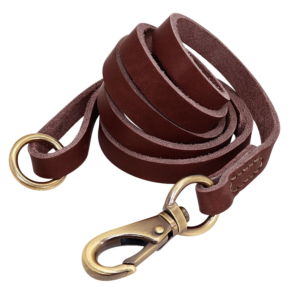 Customized Leather Collar Single Pack or Leash Set