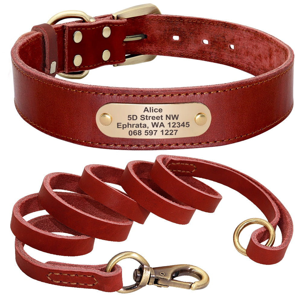 Customized Leather Collar Single Pack or Leash Set