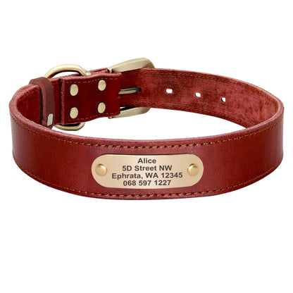 Customized Leather Collar Single Pack or Leash Set