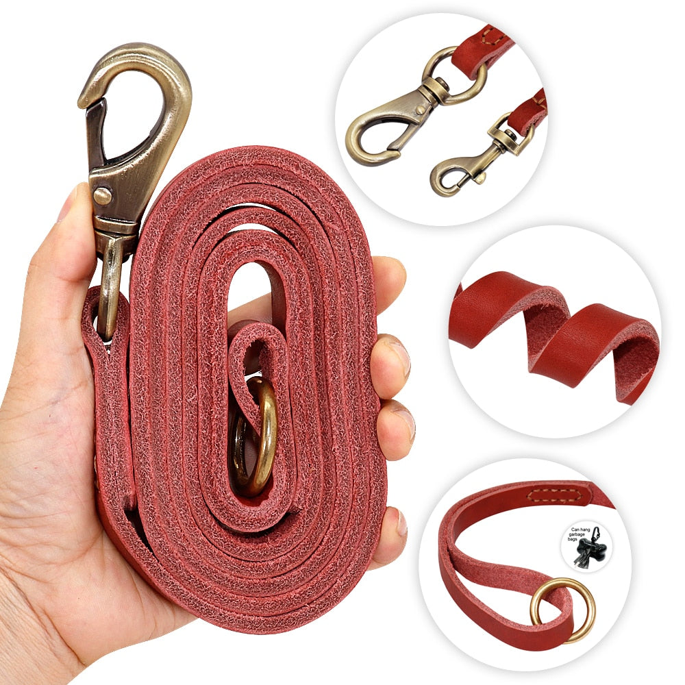 Customized Leather Collar Single Pack or Leash Set