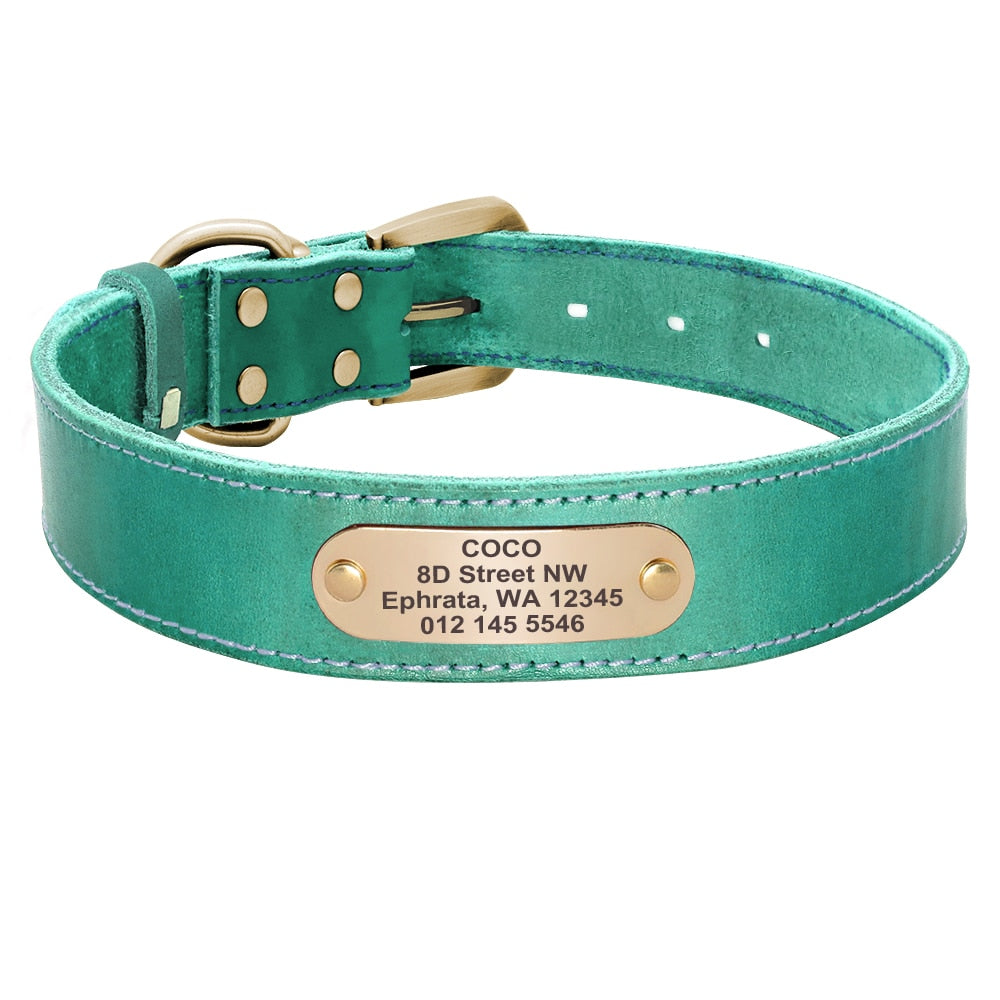 Customized Leather Collar Single Pack or Leash Set