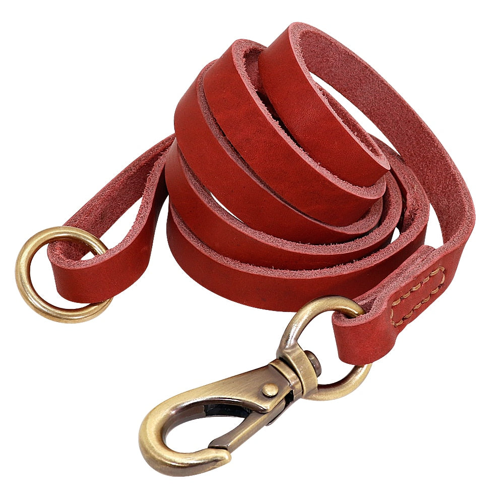 Customized Leather Collar Single Pack or Leash Set