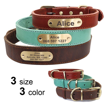 Customized Leather Collar Single Pack or Leash Set