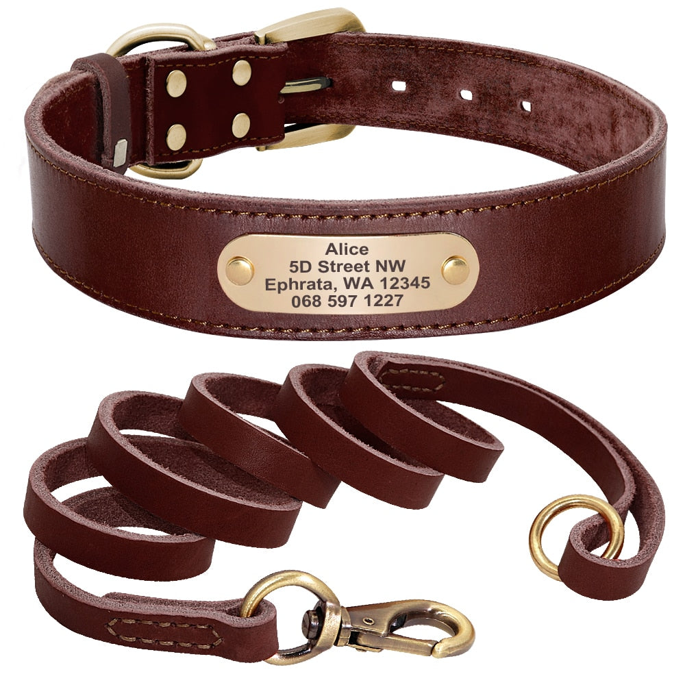 Customized Leather Collar Single Pack or Leash Set