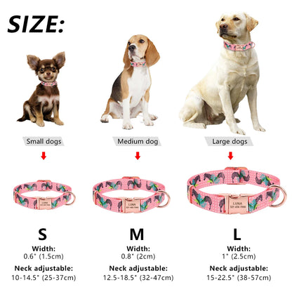 Personalized Nylon Collar with Gold, Rose Gold, or Silver Buckle