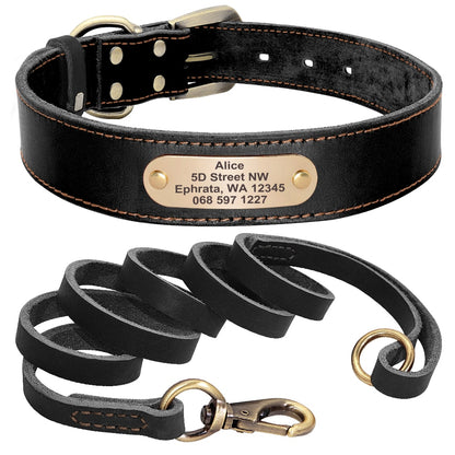 Warner Cumberland Leather Dog Collar with Free ID Nameplate