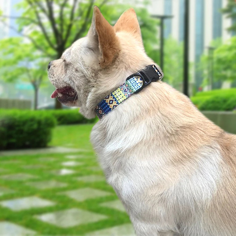 Fashion Printed Nylon Collar